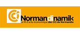 logo normandinamik