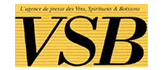 logo vsb